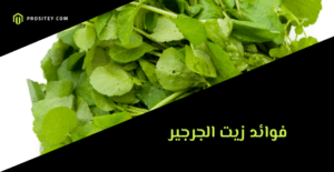 فوائد زيت الجرجير