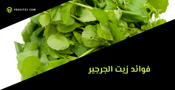 فوائد زيت الجرجير