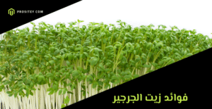 فوائد زيت الجرجير