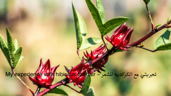 تجربتي مع الكركديه للشعر My Experience With Hibiscus For Hair برو سايتي