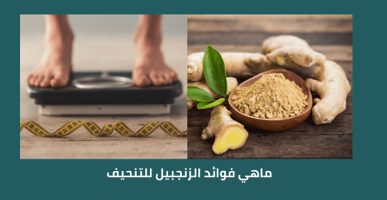 ماهي فوائد الزنجبيل للتنحيف