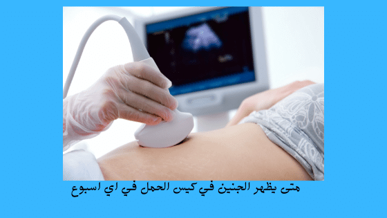 متى يظهر نبض الجنين