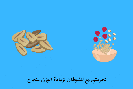 الشوفان لزيادة الوزن