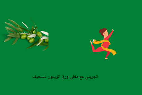 مغلي ورق الزيتون للتنحيف