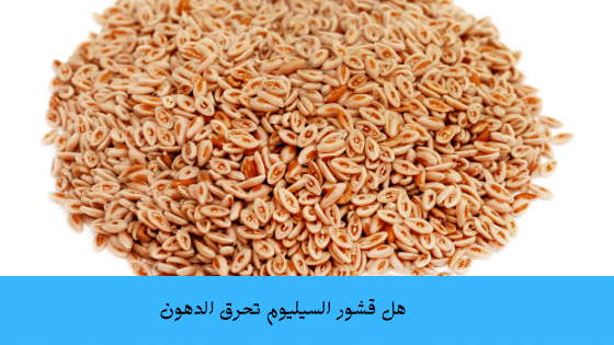 تجربتي مع قشور السيليوم