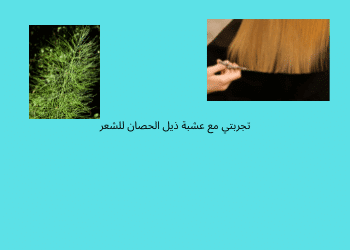 عشبة ذيل الحصان للشعر