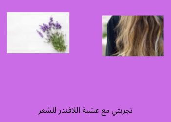 عشبة اللافندر للشعر