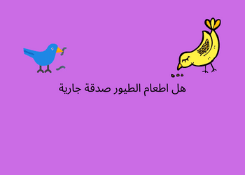 اطعام الطيور صدقة جارية