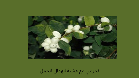 عشبة الهدال