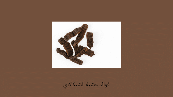 فوائد عشبة الشيكاكاي للشعر