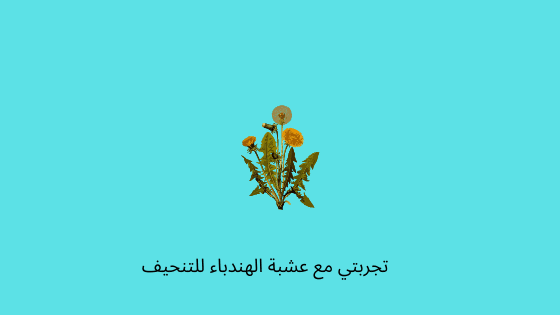 فوائد عشبة الهندباء