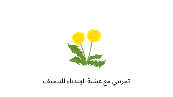 تجربتي مع عشبة الهندباء للتنحيف